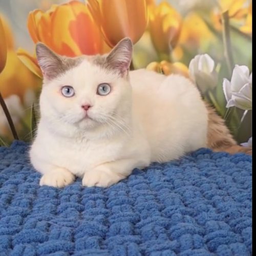 изображение_viber_2025-07-14_18-01-15-513