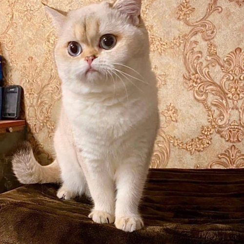 изображение_viber_2025-07-14_18-02-37-457