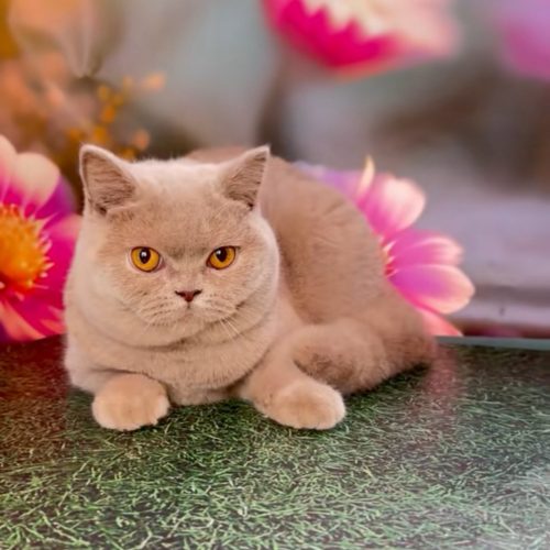 изображение_viber_2025-07-14_23-04-21-045