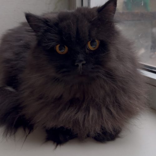 изображение_viber_2025-07-14_23-09-36-435